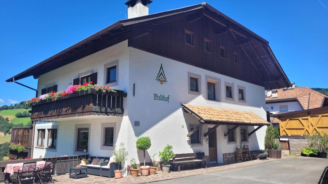 Ferienwohnung Waldhof Mölten Exterior foto