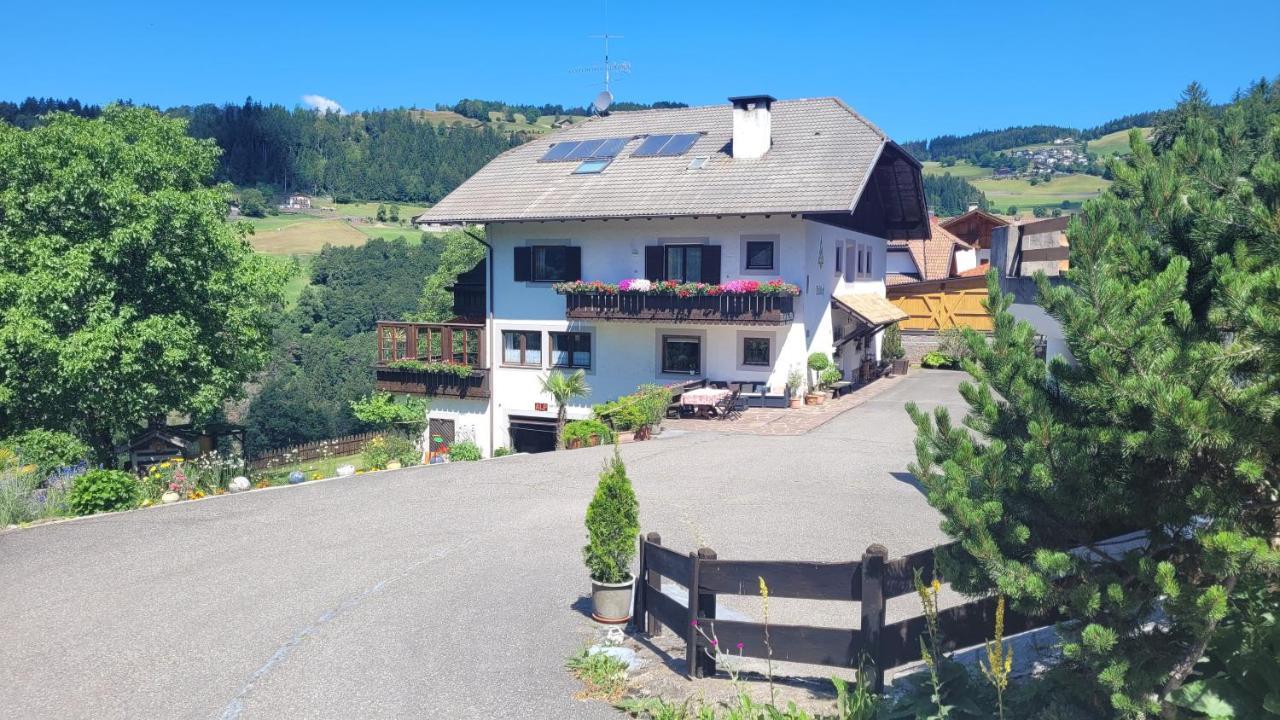 Ferienwohnung Waldhof Mölten Exterior foto