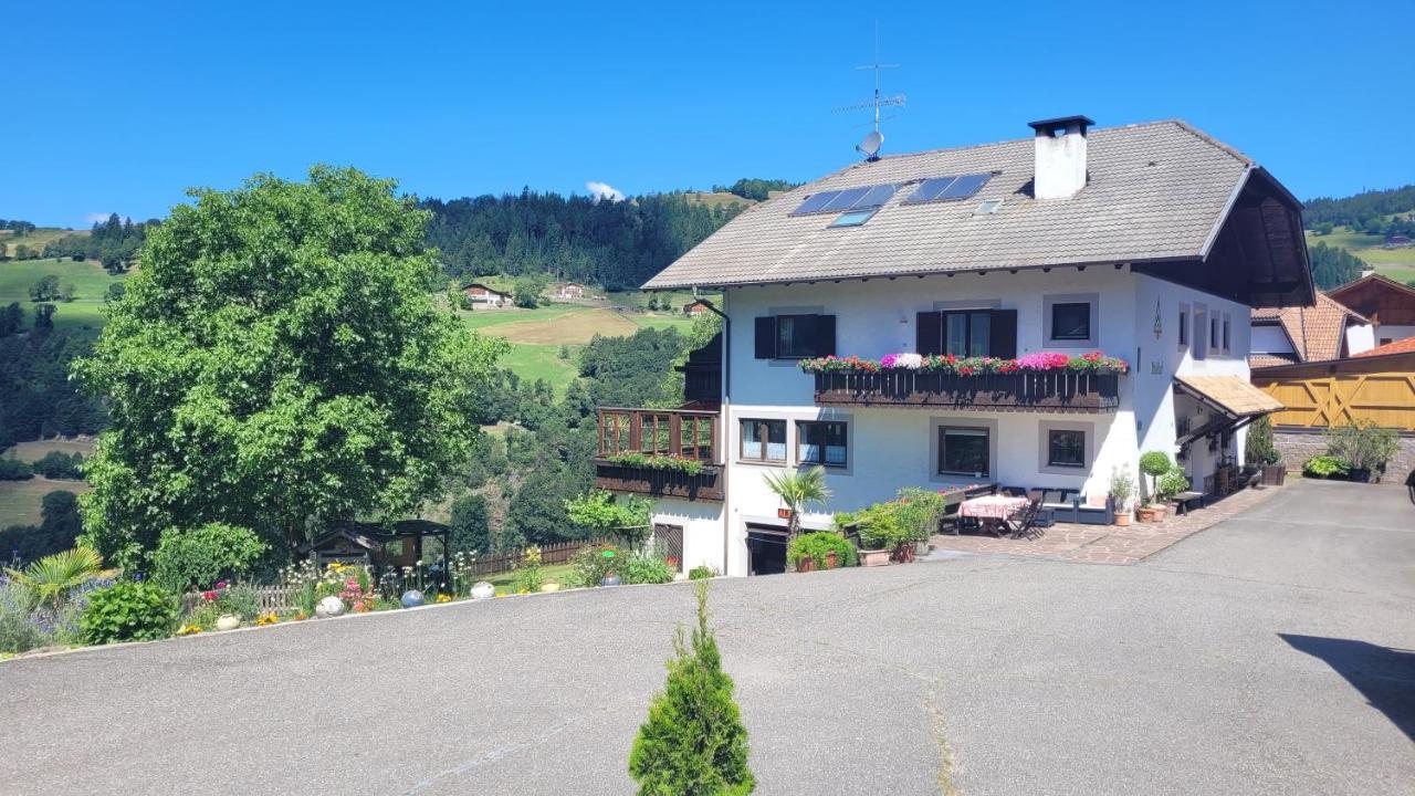 Ferienwohnung Waldhof Mölten Exterior foto